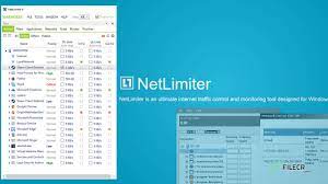 NetLimiter Pro 4.1.13 Crack 